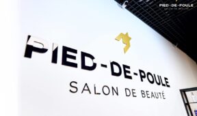 логотип p-d-p