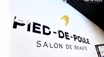 логотип p-d-p